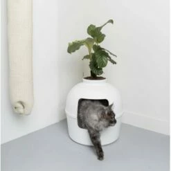 RHR Quality Katzentoilette Flower XXL -ANIMONDA Verkäufe 93f503e3b5e2d21cc0461e97d9127562df0337e6 1641853 de DE 1e822790dd4545375dbf65f839e659bd6b299a76bokJue