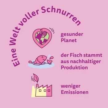 Whiskas Jumbo Pack 1+ Fisch Auswahl In Gelee 80 X 85g 7 Whiskas Jumbo Pack 1+ Fisch Auswahl In Gelee 80 X 85g – Bild 5