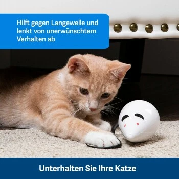 PetSafe Automatisches Katzenspielzeug RoloRat 6 PetSafe Automatisches Katzenspielzeug RoloRat – Bild 5