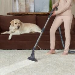 THOMAS DryBox Amfibia Pet -ANIMONDA Verkäufe 9953282c61e03abd8b9e8af05edae29417570062 1406734 de DE 1c8fb73e21f9aae62063930fedd2d58afb94e8aanSOWPf