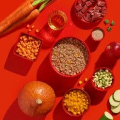 Fred & Felia FELIA 10x200g Rind -ANIMONDA Verkäufe 9bfab87cb1314cc53a48da28806fa9c136a8ba0e 1422056 de DE 6858c96f073c6b50e349601c5ea7cd0c62939c48mkJLN1