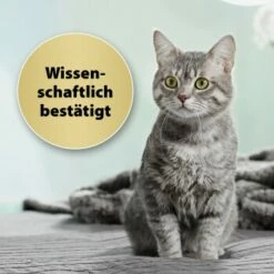 Felisept Home Comfort Set Diffusor + Flakon 45ml -ANIMONDA Verkäufe 9c015fbf97e9da0b9557db7ed4b82ab2943cb9e3 1667495 3