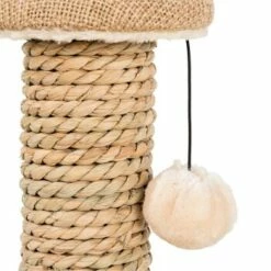 Europet Bernina Europet Kratzsäule Natural Harmony -ANIMONDA Verkäufe 9c0ca0be4c40d759284e3b43d0d557e4d0480688 3deb0bca1f42375c71aa95402b5223c0beecc8fc