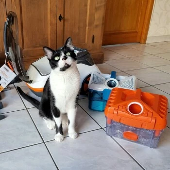 THOMAS Staubsauger 9 THOMAS Staubsauger – Bild 7