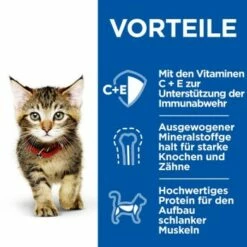 Hill's Science Plan Healthy Cuisine Kitten Ragout Multipack 24x80 G 11 Hill's Science Plan Healthy Cuisine Kitten Ragout Multipack 24x80 G -ANIMONDA Verkäufe 9cc7542d56e101119b2981756afe9af54d6b4d74 1386411 de DE hills 5