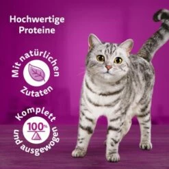 Whiskas Pure Delight Mega Pack Geflügel Ragout In Gelee 40 X 85g -ANIMONDA Verkäufe 9f640c36363dfb61f5b5632a4b10e09a36dea899 1410723 de DE Whiskas2 1