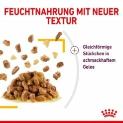 ROYAL CANIN SENSORY Taste In Gelee Für Wählerische Katzen 12x85g -ANIMONDA Verkäufe a0a9a743b6a6722f849df958bc9024e93eba856b e74a0546ac96b90fff45a5cac73c2ea520ddf555