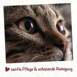 FeliTATZ Aufenreiniger 5 FeliTATZ Aufenreiniger -ANIMONDA Verkäufe a42e4444449587f74210971aa9f4534bdf507ccb 1666312 de DE df49926100809ebd8f2a10a84a381fd5bb2e5e12TwrEU5