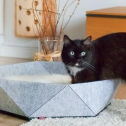 Canadian Cat Company Filz-Katzenkorb Zoey Hellgrau 13 Canadian Cat Company Filz-Katzenkorb Zoey Hellgrau -ANIMONDA Verkäufe a6a8426cef71eed10f3123900f6df84444babe04 1360974 de DE d96e742f3b6459e1124d3bd66ca6be5e2a9ad69fQ7fieO