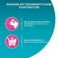 Purina ONE Junior Kittenfutter Nass Zarte Stückchen In Sauce Lachs 48x85g -ANIMONDA Verkäufe a7f027d7248095683b124975ea6fd8b5ebd54d54 1356454 de DE purina one 4