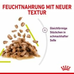 ROYAL CANIN SENSORY Smell In Soße Für Wählerische Katzen 12x85g -ANIMONDA Verkäufe a86352468fe9df558f971b2826cf8a2c3c96db24 e8cfb3af270c23af70279408fd79e1fcdbf01aec