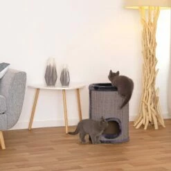 Lionto 50cm Kratztonne Mit Sisal Kratzturm Grau 11 Lionto 50cm Kratztonne Mit Sisal Kratzturm Grau -ANIMONDA Verkäufe a86444f992595dab6c432c59c00489ae8f26170d 1657063 de DE 73e2d8f267fbc6a643c9e6451e54e96ce9d7adfdQrvB4e