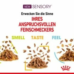 ROYAL CANIN SENSORY Smell Taste Feel Multipack In Soße 12x85g -ANIMONDA Verkäufe a9a771645f2a1a144deeeb087d684c4ad698eaa7 88dd5e1dde5216e725cdcdf2d5af0e877950757b