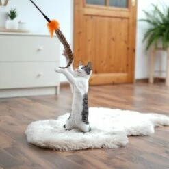 Schlitzohr Federwedel Birdy 3er Pack -ANIMONDA Verkäufe ad71433917b4c75207a76b8cde2a63e28ac6a3f4 1659562 de DE 3439e97a8a6ef7574f0506829a0694961b8792bfHS2VqL