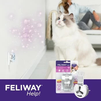 Feliway Help! 7 Tage Start-Set Zur Vorbeugung Von Stress 8 Feliway Help! 7 Tage Start-Set Zur Vorbeugung Von Stress – Bild 6