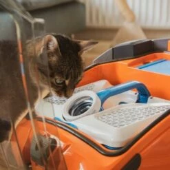 THOMAS AQUA+ Pet & Family 22 THOMAS AQUA+ Pet & Family -ANIMONDA Verkäufe b29d283b30c65b5964c108db9c904b2f1515a2bd 1408595 de DE b994e116c03c39866ce7571239028dd963780376lYoXei