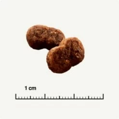 SELECT GOLD Hair+Skin Senior Geflügel & Lachs 2,5 Kg -ANIMONDA Verkäufe b42128ae83c41454d6be7d6047b7c0aaed5f051a 1001086011 de DE 6