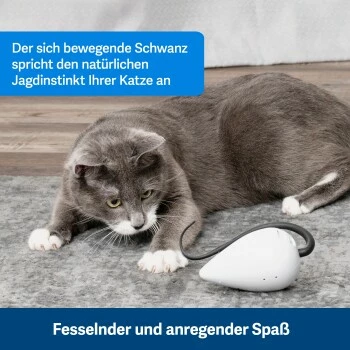 PetSafe Automatisches Katzenspielzeug RoloRat 7 PetSafe Automatisches Katzenspielzeug RoloRat – Bild 6