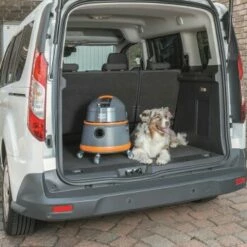 THOMAS Boxer 14 THOMAS Boxer -ANIMONDA Verkäufe b88f849533b8ebe1b5a7ad5744a96450027d0fae 1406732 de DE 0d542195b78af5d42f192c44669d7c2bbf8e5208f0NCyT