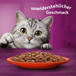 Whiskas Mega Pack 1+ Klassische Auswahl In Sauce 40 X 85g -ANIMONDA Verkäufe b8bf2de8eb7738000e5afc2cec07342be5657174 1410718 de DE Whiskas 6