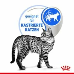 ROYAL CANIN Indoor 7+ Sterilised 12x85g In Gelee -ANIMONDA Verkäufe b8deafb3ee408d0ff36ae01e8bfcb73235e77c63 280e962da7ec0ad4acf939fc5a0bfc1107418f5d