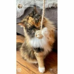 Kater Kasimir Deluxe Set Mit 9 Beliebten Katzenspielzeugen Aus Naturmaterial Und Handgemachtem CATMOM Armband -ANIMONDA Verkäufe b933584b7dcd56603dddd340f05442bfffc43e18 1408141 de DE 8e1afbeea10c4c53b2e3c89a347993a00031803ayqowzr