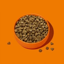 Fred & Felia FELIA Trockenfutter Multiprotein -ANIMONDA Verkäufe c0e7edf00eb81880109abeeb4b149f208129ae38 1685923 de DE 2571e79ac1cf719b8f6276a47cae44a955d0512dToxG6q
