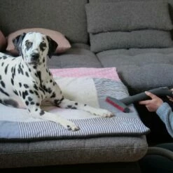 THOMAS AQUA+ Pet & Family 19 THOMAS AQUA+ Pet & Family -ANIMONDA Verkäufe c3381bf4158feb85ebfd3f3d8bb59ef108b95290 1408595 de DE f1089c65a30ba894d2939997310129f1b316d2cdCtnGOW