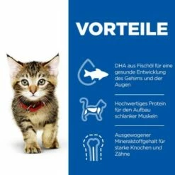 Hill's Science Plan Kitten Thunfisch 7 Kg -ANIMONDA Verkäufe c6fb28c1a799efc2b3725ee5b7be61613fad29ae 52742024431 4
