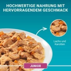 Purina ONE Junior Kittenfutter Nass Zarte Stückchen In Sauce Lachs 48x85g -ANIMONDA Verkäufe c703fcbb41b88ca8248baa66dbcb906c34ea7b12 1356454 de DE purina one 5