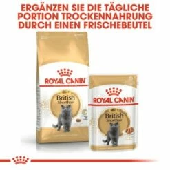 ROYAL CANIN British Shorthair Adult 2 Kg 11 ROYAL CANIN British Shorthair Adult 2 Kg -ANIMONDA Verkäufe c753bd00548b3887de38170504d89850cc579133 6ad27fa67d71d664216d6c9c00894ac1ba874172