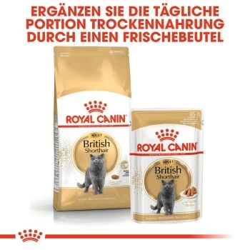 ROYAL CANIN British Shorthair Adult 2 Kg 5 ROYAL CANIN British Shorthair Adult 2 Kg – Bild 3