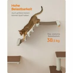 FEANDREA Clickat Katzen-Kletterhängematte -ANIMONDA Verkäufe c7ac0035e3564741d097d2ee84db69558fcbeb36 1681422 de DE 69b299a2a0b5f1d93e61abe664375afb5e8ca6e9sZQMir