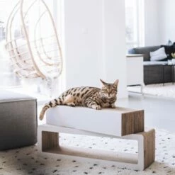 District 70 STRETCH -ANIMONDA Verkäufe c7e217e189c4c0bb9b1b8ed3223bf45ded06649b 86c2b7def285f0c56fc99115c277d70af97993e8