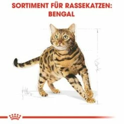 ROYAL CANIN Bengal Adult 10 Kg -ANIMONDA Verkäufe cb3c9b745b0cf6e86ca2308b544461de43105143 e7122eb5a9e8a316aad32423edb5418ecd6d24cd