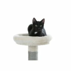 Kerbl Kratzbaum Creative Adventure -ANIMONDA Verkäufe cd831c82afd6be187c9e1aebf4a78e2ebe782c44 ce7c27aa5a680126ca08b882797ce2b921ff7a47