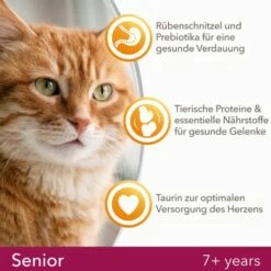 IAMS Vitality Senior Huhn 10kg 11 IAMS Vitality Senior Huhn 10kg -ANIMONDA Verkäufe ce3e26a6f175724598fdf6e2b7b6bc8f7fa047c6 d7ce23295bdb5edbb7f4edf686f630cb7b55a5fb