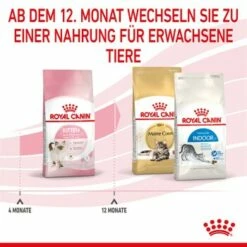ROYAL CANIN Kitten 4 Kg 17 ROYAL CANIN Kitten 4 Kg -ANIMONDA Verkäufe cf133300f1a1c045b6143772211651d61c06ad62 3182550702973 7