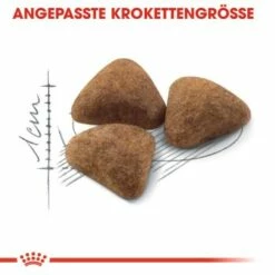 ROYAL CANIN Home Life Indoor 27 10 Kg 15 ROYAL CANIN Home Life Indoor 27 10 Kg -ANIMONDA Verkäufe cf62e40a48369f22c57006ccb507e70ec775e1eb 1c64ebe686625dd521d0580e05cee50c5656a829