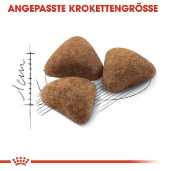 ROYAL CANIN Home Life Indoor 27 10 Kg 7 ROYAL CANIN Home Life Indoor 27 10 Kg – Bild 5