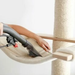 THOMAS AQUA FleckWasher -ANIMONDA Verkäufe d0f5e8f3d8704727ae9f8d622c7075b7c423576b 1652086 de DE 2671b0968ff1af964b9b936f18c15a3e715921d8OZmc0o