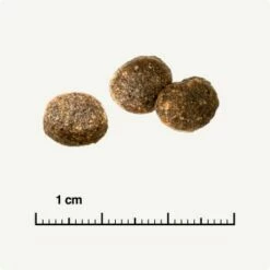 REAL NATURE WILDERNESS Adult Probierpaket Mixpaket 1, Mix-Pack -ANIMONDA Verkäufe d13ec079dfc733868201f90c68c1160fb8a8b3ec 1267094 de DE 6