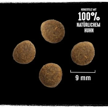 CRAVE Mit Truthahn Und Huhn 2,8 Kg 4 CRAVE Mit Truthahn Und Huhn 2,8 Kg – Bild 2