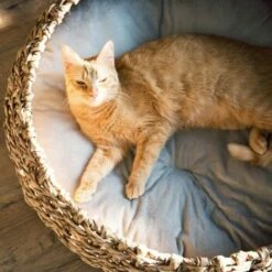 District 70 COCOON Natural M -ANIMONDA Verkäufe d1bca9000c27271741682ed9d9947040fa216679 010fccd4edaf289528235b12a94f95e756b71b5e