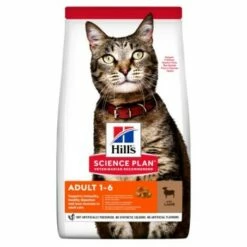 Hill's Science Plan Adult Lamm & Reis 3 Kg