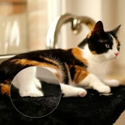 Lionto Katzenliege Für Fensterbank Schwarz -ANIMONDA Verkäufe d381822ef5a95c89b1fff706447b9d97f29f0c7f 1665905 de DE 5457dd2248cdfada4018574e89708e1db05800ecjUEbgx