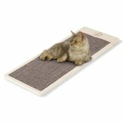 Europet Bernina D&D Home Lenny Kratzbrett -ANIMONDA Verkäufe d555ff938502b0334f8aabdeb2c392f8ef411d25 9064449b2f9657cc62f73a1d1418aaedd6093fb5