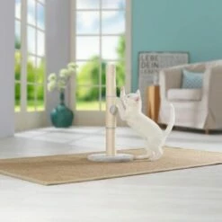 AniOne Kratzsäule Pepe&Kitty 9 AniOne Kratzsäule Pepe&Kitty -ANIMONDA Verkäufe d5701c6c4622e5291ba55a46423a44f2481c56c2 484c1f099650b6711f02ae3db97410a6f9af5da0