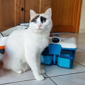 THOMAS Staubsauger 6 THOMAS Staubsauger – Bild 4