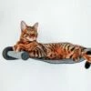 Canadian Cat Company Filz-Hängematte Für Die Wand 2 Canadian Cat Company Filz-Hängematte Für Die Wand -ANIMONDA Verkäufe d81afaa6e158e3bd7ac73df545ab8a8773051aae 1360996 de DE 8a1e846c84edf61c3d847795e244db6fd6d219fey8Ktlq